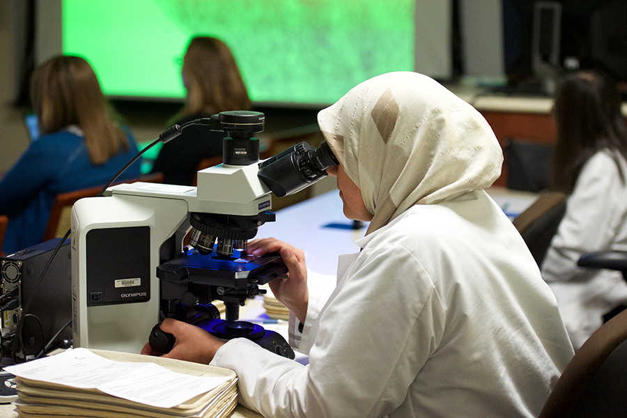 Scientist at microscope