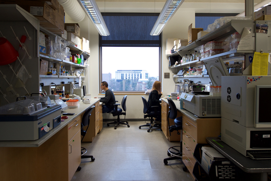 Researchers in laboratory